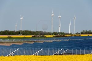 13530930-wind-turbines-and-solar-panels-in-a-rapeseed-field